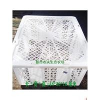 ราคา มือสองด่วนเก็บกรอบตะกร้าบรรจุภัณฑ์มะม่วงสดลําไยสัตว์เลี้ยงนกพิราบกรอบตะกร้าพลาสติกจัดส่ง 4สวัสดี (42773804241)