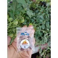 ราคา เมล็ดพันธุ์ ตะโก 10เมล็ด 29 บาท ตะโกนา ต้นตะโก (24924199435)