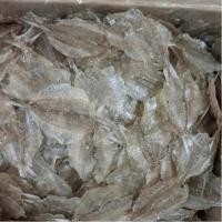 ราคา ปลาแป้นแก้วหวาน เกรด A แพ็คขนาด 500 กรัม นุ่มไม่แข็ง เก็บสดใหม่จากแผงทุกวัน ตรงปก (21495685328)