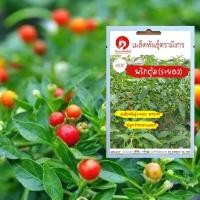 ราคา เมล็ดพันธุ์พริกตุ้ม - พริกตุ้มระยอง (จำหน่ายเมล็ดพันธุ์คุณภาพดี) (4538251435)