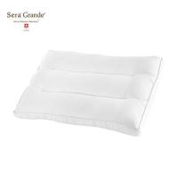 ราคา [พร้อมส่ง] HomeDoDee หมอนสุขภาพ SERA GRANDE NANO GEL หมอน ถอยหมอน (11840914645)