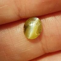 ราคา ไพฑูรย์(Chrysoberyl Cat's eye) (3913377287)
