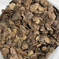 ราคา เมล็ดพยุงไหหลำ 50 เมล็ดต่อชุด เมล็ดพันธุ์พืช พะยูง ฮวงหัวลี่ (6909710201)