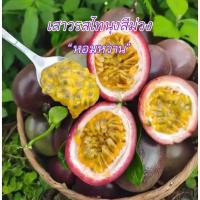 ราคา #เมล็ดเสาวรสไทนุงสีม่วง รสชาติหอมหวานอมเปรี้ยว ลูกใหญ่ (45200827439)