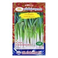 ราคา เมล็ดกระเทียมใบ หอมหวาน Leek MT/OP-137 ตราภูเขาทอง เมล็ดกระเทียมต้น เมล็ดพันธุ์ เมล็ดพันธุ์ผัก ผัก (23681314878)