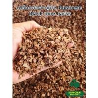 ราคา เปลือกไม้สนญี่ปุ่น Japanese Black pine barks นำเข้าจาก ญี่ปุ่น (19224502215)