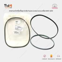 ราคา แท้ศูนย์ สายพานหน้าเครื่องทั้งชุด (3 เส้น) Toyota Corolla Corona เครื่อง 4AFE-5AFE (22441218475)