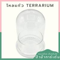 ราคา โหลแก้ว Terrarium โดมแก้ว มี 2 ขนาด สำหรับจัดสวนขวด (25440392102)