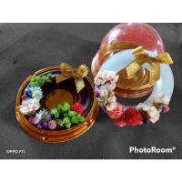 ราคา เทียนหอม เทียนของชำร่วยต่างๆ เทียนหอมดอกไม้แห้ง (23133617472)