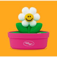 ราคา [Wiggle Wiggle]SOAP TRAY-Smile We Love (44261062566)