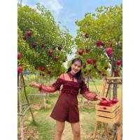 ราคา ถูกสุด529฿จั้มงานป้ายLA LA BELLE (22125525009)