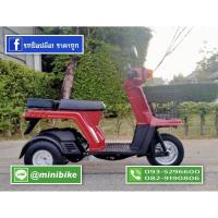 ราคา Honda Gyro-x สีแดงแก้ว (8738653908)