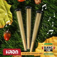 ราคา หลอดพลาสติก + กระดาษน้ำตาลบาง, หลอดพลาสติกใส 10 ชิ้น (20480554703)