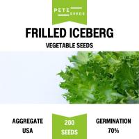 ราคา เมล็ดพันธุ์ ผักสลัด ฟิลเล่ย์ ไอซ์เบิร์ก ( Frilled Iceberg) ผักกาดหอม Lettuce (28938145194)