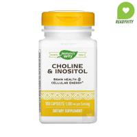 ราคา Nature's Way, Choline & Inositol, 1,000 mg, 100 Capsules (500 mg per Capsule) (24217732989)
