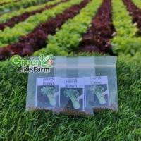 ราคา เมล็ดพันธุ์ผัก เซเลอรี่ ( Celery ) หรือ ขึ้นฉ่ายฝรั่ง บรรจุซอง 300-400 เมล็ด (15632214812)