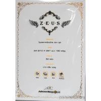 ราคา ใบประกาศนียบัตร ตรา ซุส A 4 (210 X 297 มม.) 180 แกรม 020 (1727987692)