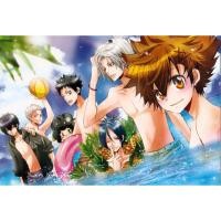 ราคา โปสเตอร์ Reborn รีบอร์น การ์ตูน ญี่ปุ่น Poster ของขวัญ โปสเตอร์การ์ตูน Japan Anime โปสเตอร์สำหรับเด็ก ตกแต่งบ้าน มังงะ (4478612876)