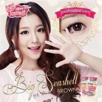 ราคา คอนแทคเลนส์ บิ๊กอาย Kitty Kawaii รุ่น Big Seashell Brown สีน้ำตาล สายตาปกติ ราคาพิเศษ (5224556407)