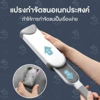 ราคา แปรงเก็บขนตามเสื้อผ้า แปรงเก็บขนหมา แปรงกำจัดขนตามเสื้อผ้า แปรงเก็บขนตามโซฟา แปรงรูดขน แปรงเก็บขนสัตว์ แปรงเก็บขนแมว (42873192535)