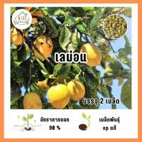 ราคา เมล็ดพันธุ์ เลม่อน (Lemon) บรรจุ 2 เมล็ด (24777108920)