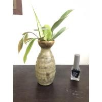 ราคา แจกันญี่ปุ่น ขวดใส่สาเกญี่ปุ่น แจกันเซรามิค เล่นสีสวย (14150469422)