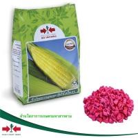 ราคา จัมโบ้ สวีท ข้าวโพดหวาน ข้าวโพดศรแดง 1 กก เหนียวม่วงก้ำ ศรแดง ฝักใหญ่ ไซส์จัมโบ้ เมล็ดพันธ์ศรแดง เหนียวทับทิม (5142868399)