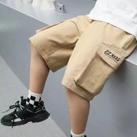 ราคา กางเกงขาสั้นเด็กชาย สไตล์เกาหลี มี 3 สีให้เลือก เหมาะสำหรับเด็กอายุ 2-15 ปี ผ้าฝ้าย ราคาโรงงาน (27507215548)
