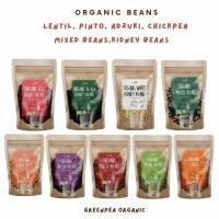 ราคา Allrite เมล็ดถั่ว อินทรีย์ 300 กรัม ออไรท์ Pinto Beans รวมเมล็ดธัญพืช (25605010192)