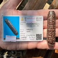 ราคา ตะกรุดหนังหน้าผากเสือแห่งบรมครูหลวงปู่สว่าง วัดเทียนถวาย (ปทุมธานี) พร้อมบัตรสมาคม (12193163253)