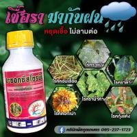 ราคา เชื้อรา อะซอกซีสโตรบิน 500 ซีซี สารป้องกัน หอมเลื้อย ราน้ำค้าง ดอกเน่า กุ้งแห้งในพริก คูลเกษตร KF40 (21406431026)