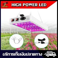 ราคา (พร้อมส่ง) LED Grow Light 1000W-216LED/2000W-312LED ไฟปลูกต้นไม้ ไฟช่วยต้นไม้โตเร็ว ไฟปลูกพืช แสงม่วง (14592541055)