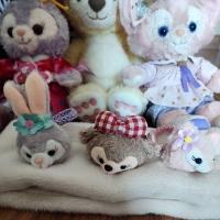 ราคา พร้อมส่ง ครบสีที่มัดผม ยางรัดผม ผองเพื่อน duffy น่ารักมากๆ (22472125667)