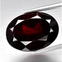 ราคา 8.69ct Natural Deep Red Almandine Garnet แอฟริกา Unheated Tg (19682386839)
