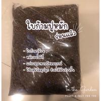 ราคา ใบก้ามปูร่อน 1 กิโลกรัม หมักจนได้ที่ พร้อมใช้ สำหรับผสมดิน ปลูกแคคตัส และเพาะต้นกล้า เพาะชำไม้ (12326275623)