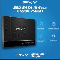ราคา SSD PNY 250GB CS900* (43405742388)