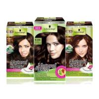 ราคา ครีมเปลี่ยนสีผม ชวาร์สคอฟ เนเชอรัล แอนด์ อีซี่ 60 ก. (5042950080)