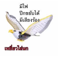 ราคา เหยี่ยวไล่นก อินทรีย์ไล่นก (10606691144)