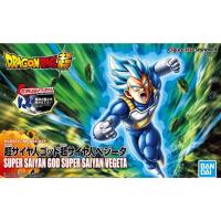 ราคา BANDAI FIGURE-RISE STANDARD AMPLIFIED SUPER SAIYAN GOD SUPER SAIYAN VEGETA สินค้าใหม่ ของแท้ (24236078526)