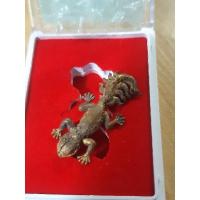 ราคา จิ้งจก 9 หาง ขี้เกี้ยม 9 หาง หลวงปู่มหาศิลา สิริจันโท ของแท้100% (29954815262)