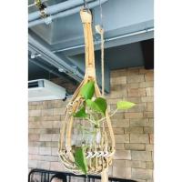 ราคา ตะกร้อสอยผลไม้ ตะกร้อใส่ต้นไม้ ตะกร้อหวายแท้ (7959369629)