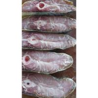 ราคา ปลากุเลาเค็มหอม ทะเลใต้ เนื้อล้วน น้ำหนัก400-500กรัม ราคา299 เค็มน้อยหอมอร่อย สะอาดปราศจากสาร100% (41317892853)
