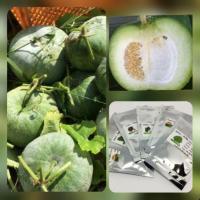 ราคา เมล็ดพันธุ์ฟักหอมใบเตย ซื้อ1แถม1 (2615353551)