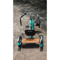 ราคา จักรยานสามล้อเด็ก SCHWINN (24043856114)