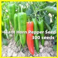 ราคา 300เมล็ด เมล็ดพันธุ์ พริกใหญ่ยักษ์ Giant Horn Pepper Seed มล็ดพันธุ์ พริกบิ๊กจิม ผลใหญ่ยักษ์ มล็ดพันธุ์พริก Vegetable (28630473713)