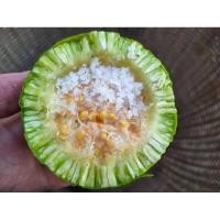 ราคา ต้นมะสัง,หมากกระสัง️ชุดละ 5️⃣ ต้น 1️⃣1️⃣9️⃣ บาท ผลสุกใช้แทนมะนาวหรือมะขามได้มีรสเปรี้ยว (22268393069)