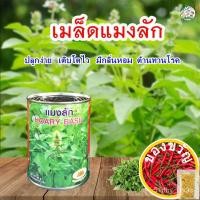 ราคา เมล็ดอวบอ้วน100%เมล็ดแมงลัก Hoary basil ตราภูเขาทอง ขนาด50กรัมและ5กรัม เมล็ดพันธุ์แมงลัก เมล็ดพันธุ์ผัก แมงลัก เมล็ดผักส (23724133723)