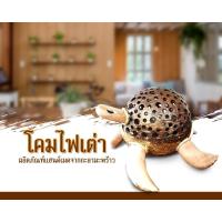 ราคา โคมไฟกะลามะพร้าว รูปเต่า งาน Handmade (4172734147)