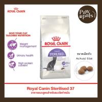 ราคา Royal Canin Regular Sterilised 37 โรยัล คานิน อาหารเม็ดแมวโต สูตรแมวโตทำหมัน (40356604061)