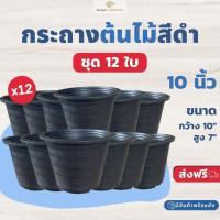 ราคา กระถางสีดำ ขนาด 10 นิ้ว (ชุด 12 ใบ) กระถางต้นไม้ กระถางพลาสติกกลม สีดำ (54000226995)
